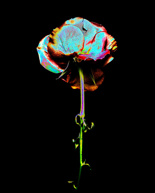 【Newtype】12.0oz Heavy Weight Crew Neck sweat Shirt(UNISEX)