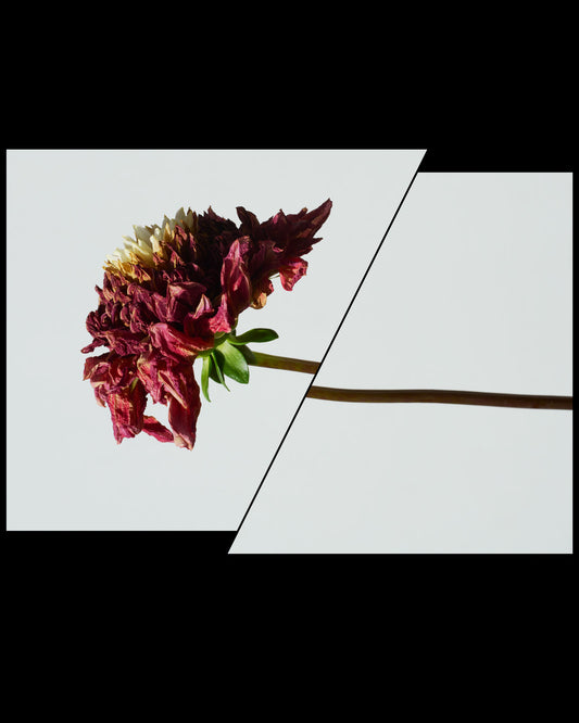 【 NEW BUDS 】12.0oz Heavy Weight Crew Neck sweat Shirt (UNISEX)