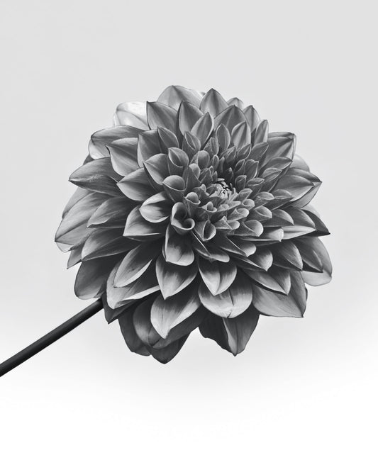 【 Color 】Long Sleeve Tee(UNISEX)