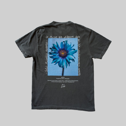 8/22発売　Still Blooming Madness - GRAY