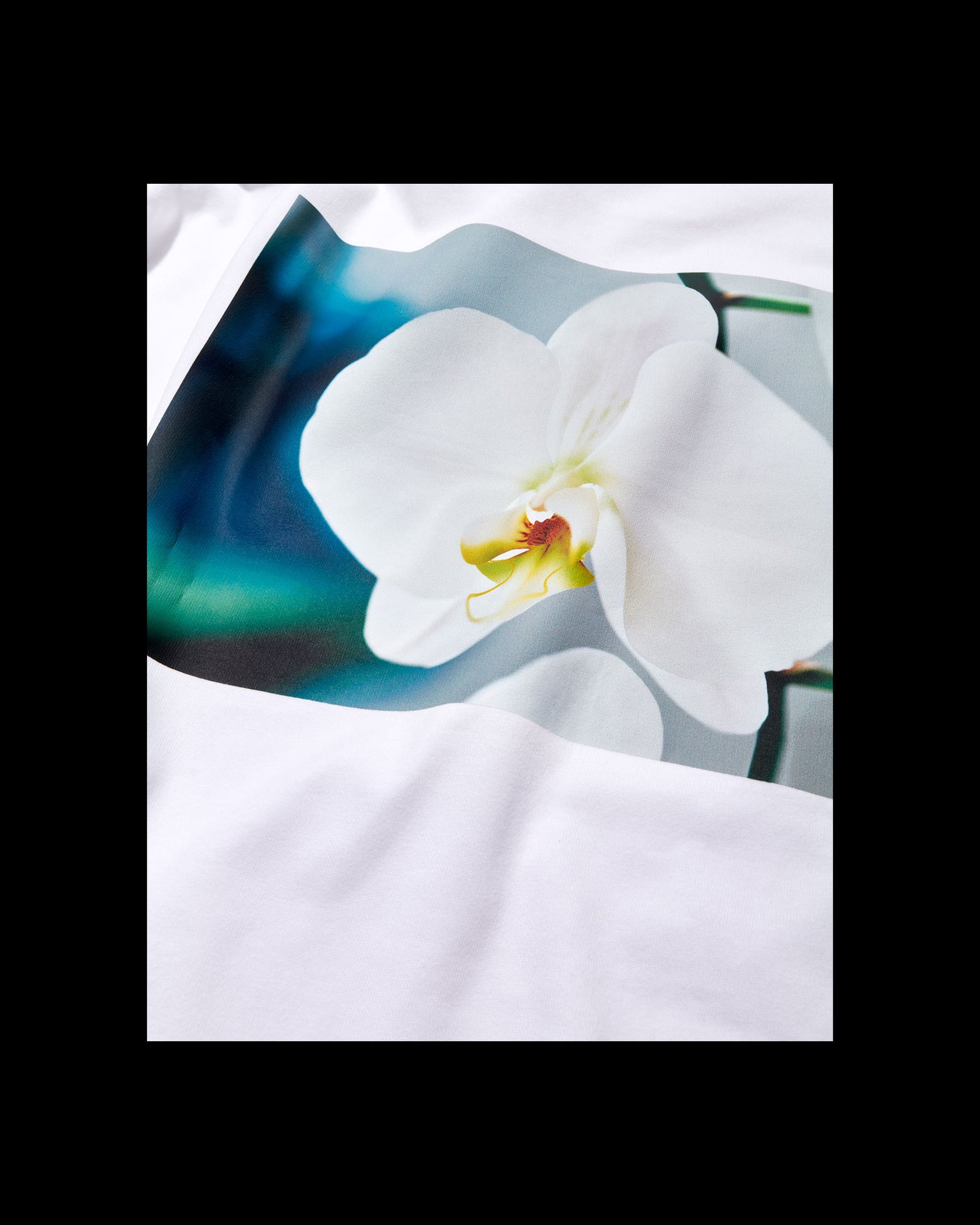 Orchid Long Sleeve Tee（UNISEX）