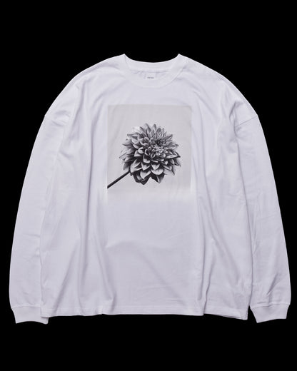 【 Color 】Long Sleeve Tee（UNISEX）
